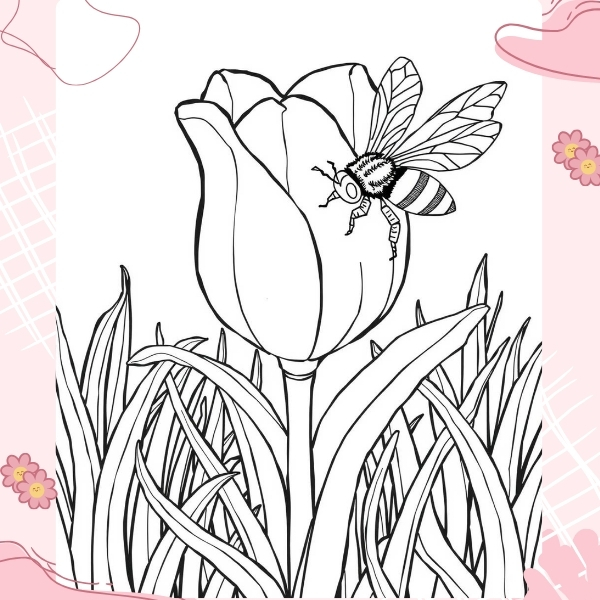 tranh tô màu hoa tulip 48