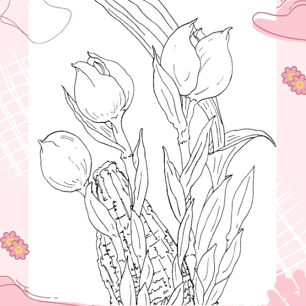 tranh tô màu hoa tulip 49