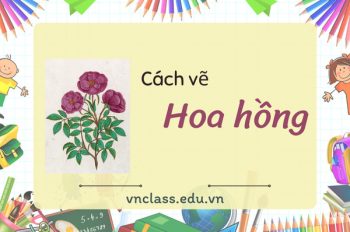 Tổng hợp 7 cách vẽ hoa hồng đẹp, đơn giản chỉ trong 5 phút