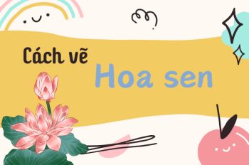 Tổng hợp 6 Cách vẽ hoa sen đơn giản ai cũng làm được