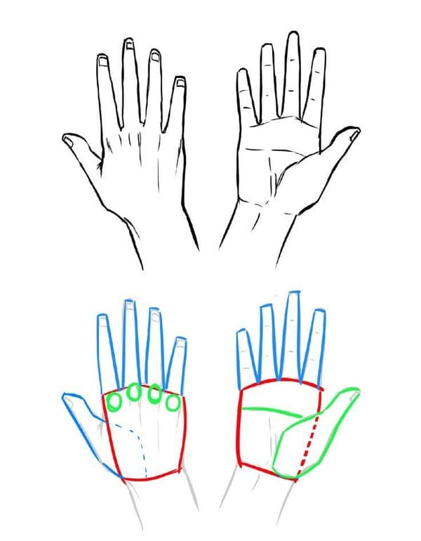 cách vẽ bàn tay đẹp 1