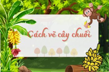 Tổng hợp 3 cách vẽ cây chuối cực đáng yêu cho các họa sĩ nhí