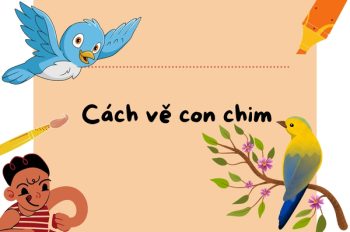 Tổng hợp 4 cách vẽ con chim sinh động chỉ với vài bước cơ bản