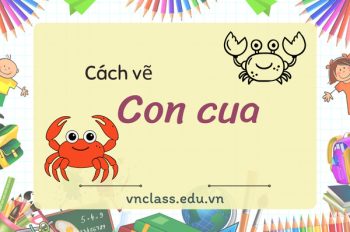 4 Cách vẽ con cua chi tiết từng bước cho người mới bắt đầu