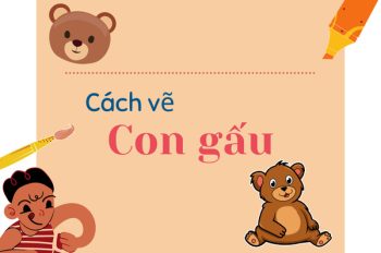 Vẽ con gấu nhanh và đẹp cho người mới bắt đầu: Học ngay!