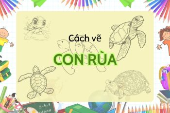 Tổng hợp 5 cách vẽ con rùa tạo bức vẽ đáng yêu mất vài phút