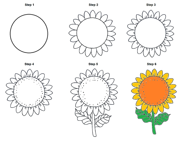 Dạy cách vẽ hoa hướng dương 