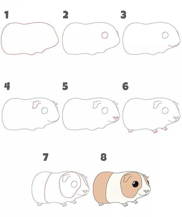 cách vẽ chuột hamster dễ thương​ 8