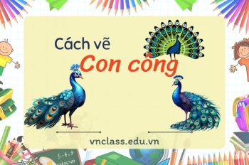 Bật mí 4 cách vẽ con công độc đáo mà bạn nên thử