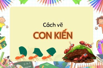 Tổng hợp 5 cách vẽ con kiến nhỏ – Bắt đầu cuộc phiêu lưu nào