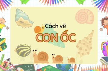 Tổng hợp 8 cách vẽ con ốc dễ thương nhất – Thử ngay thôi nào