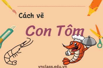 Chinh phục cách vẽ con tôm đơn giản chỉ với 5 bước