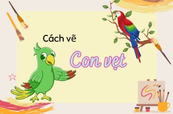 Tổng hợp 7 cách vẽ con vẹt cute cho bé yêu thích vẽ tranh