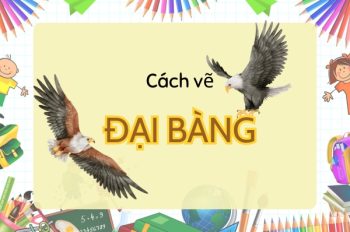 Tổng hợp 10 cách vẽ đại bàng mạnh mẽ và oai phong cho bé