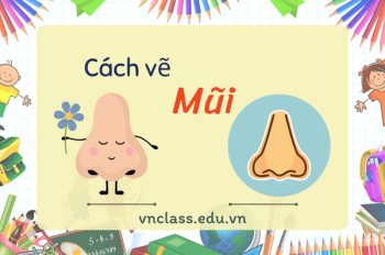 Khám phá 3 cách vẽ mũi chuẩn đẹp mà ai cũng có thể thử