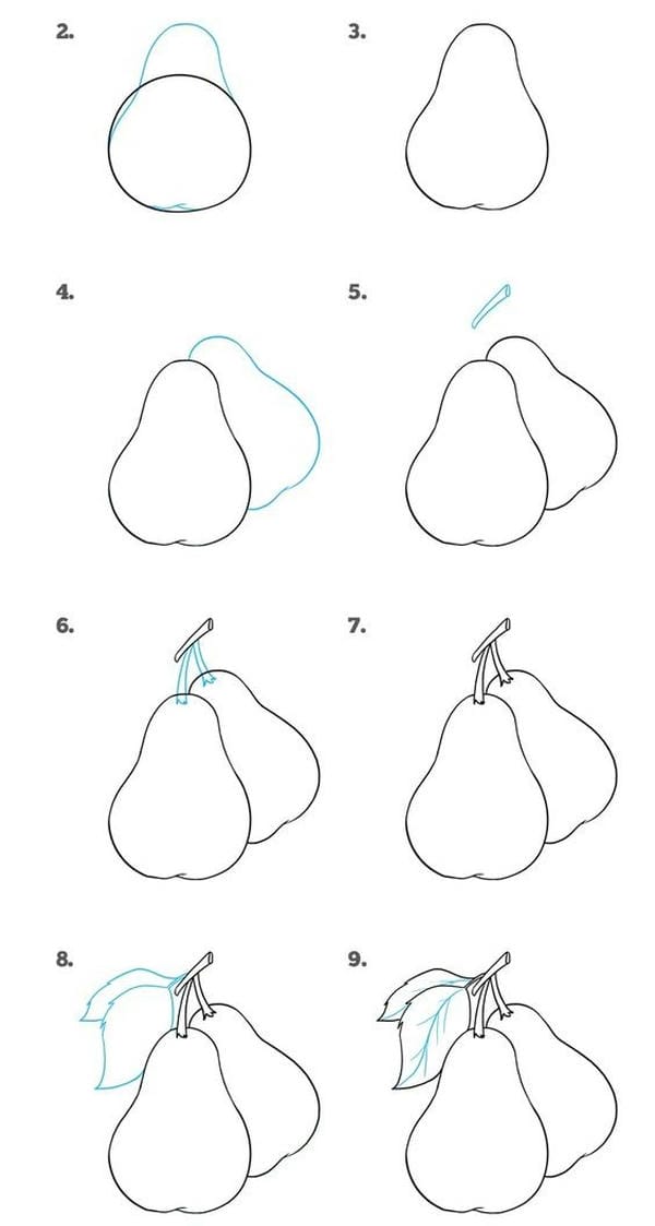 cách vẽ quả lê​ 8