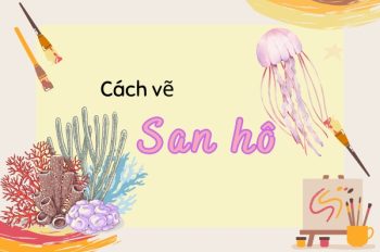 Tổng hợp 10+ cách vẽ san hô đẹp sống động như ngoài đời thật