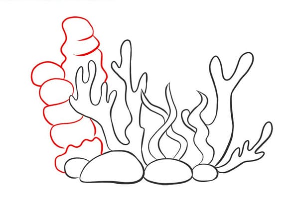 cách vẽ san hô đơn giản​ 8