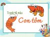 Tổng hợp 30+ tranh tô màu con tôm đáng yêu giúp bé vui học