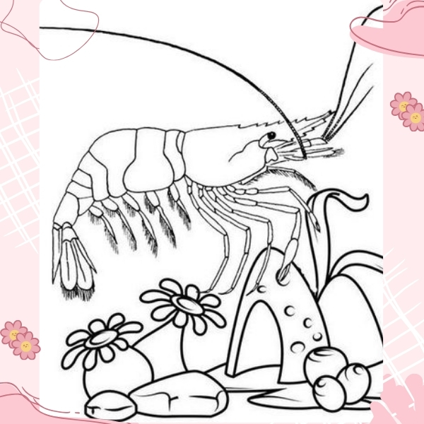 tranh tô màu con tôm 12