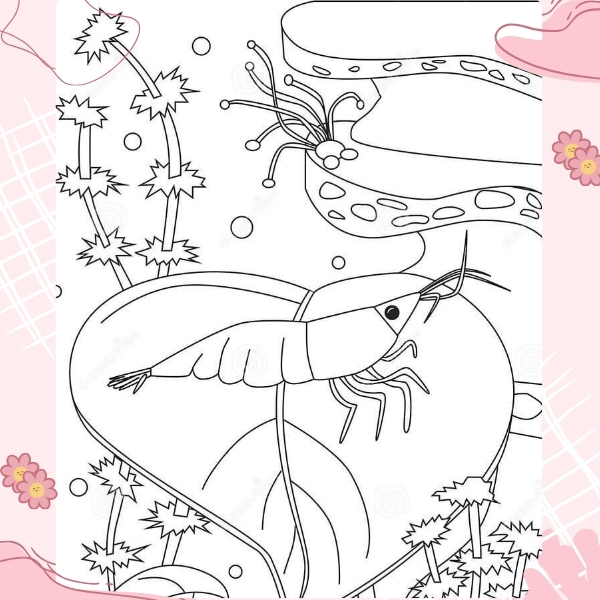 tranh tô màu con tôm 16