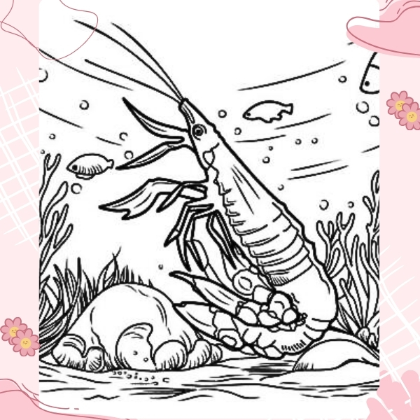 tranh tô màu con tôm 18