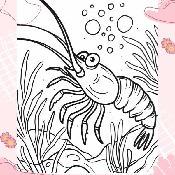 tranh tô màu con tôm 2