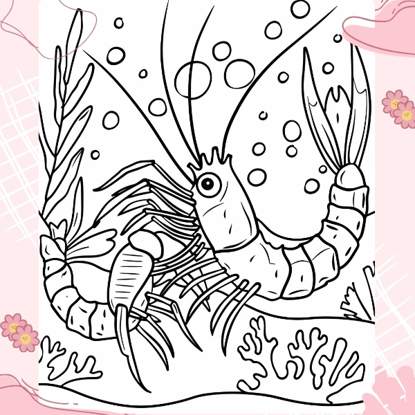 tranh tô màu con tôm 20