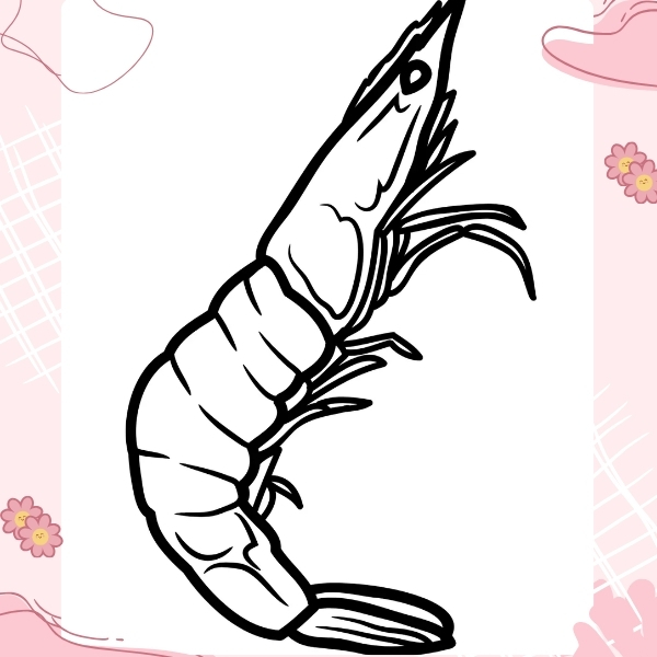 tranh tô màu con tôm 24