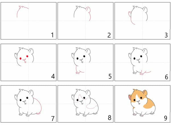 vẽ chuột hamster cute 8