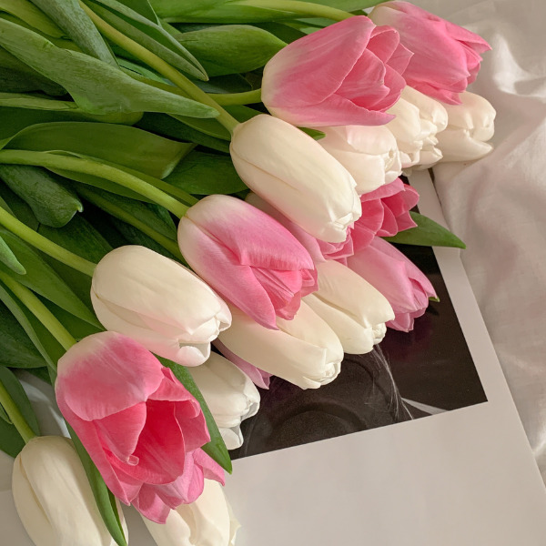 Ý nghĩa của loài hoa Tulip