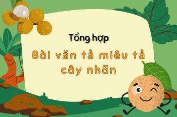 Tuyển chọn 6+ bài văn miêu tả cây nhãn đầy kỷ niệm quê nhà