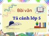 Tuyển tập những bài văn tả cảnh lớp 5 hay và đặc sắc nhất