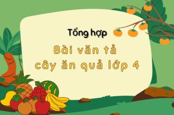 Top 5+ Mẫu bài văn tả cây ăn quả tươi sáng và ý nghĩa nhất