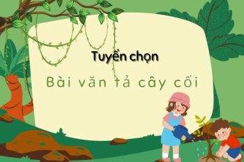 Tuyển chọn 10+ bài văn tả cây cối hay nhất đạt giải HSG