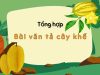 Tổng hợp 9+ bài văn tả cây khế chân thực và sinh động nhất