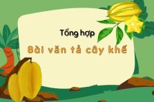 Tổng hợp 9+ bài văn tả cây khế chân thực và sinh động nhất