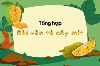 Top 8+ Bài văn tả cây mít với những hình ảnh sống động nhất