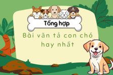 Tổng hợp 7+ bài văn tả con chó xúc động nhất nên tham khảo