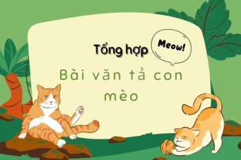 9 Mẫu bài văn tả con mèo cảm động nhất giúp bạn ghi điểm cao