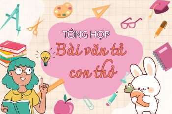 Tổng hợp 9+ bài văn tả con thỏ siêu dễ thương bạn đừng bỏ lỡ