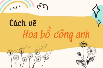 Khám phá 5 cách vẽ hoa bồ công anh nhẹ nhàng và tinh tế nhất