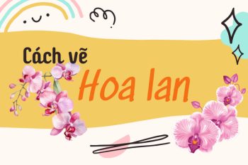 #2 bí quyết vẽ hoa lan sinh động như thật ai cũng làm được