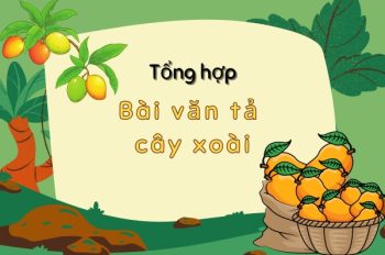 Top 5+ Bài văn tả cây xoài lớp 4 ngắn gọn nhưng đầy cảm xúc