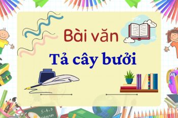 TOP 10 bài văn tả cây bưởi chân thực và giàu cảm xúc