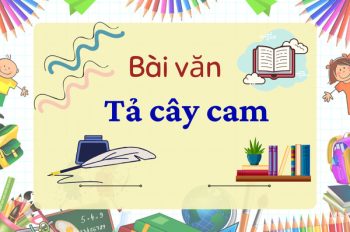 Bỏ túi ngay 10 bài văn tả cây cam lớp 4 giúp bạn học tốt hơn