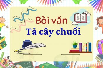 Tuyển tập 10 bài văn tả cây chuối ngắn gọn và xúc tích nhất