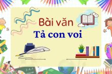 TOP 60+ Bài văn tả con voi qua hình ảnh sinh động nhất