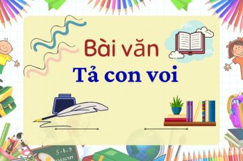 TOP 60+ Bài văn tả con voi qua hình ảnh sinh động nhất