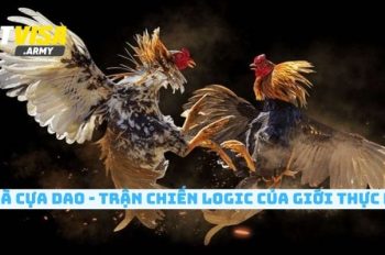 Đá Gà Cựa Dao – Loại hình cược kê đỉnh cao được bet thủ săn đón
